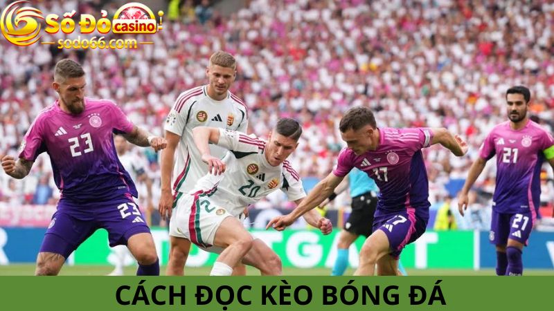 Kinh nghiệm đọc kèo bóng đá 