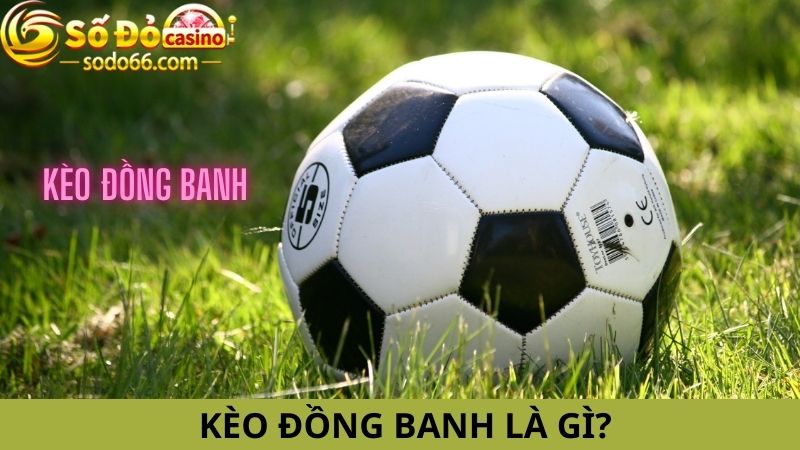 Cách đọc kèo đồng banh