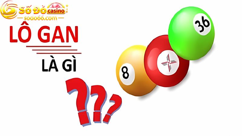 Khái niệm lô gan là gì? 